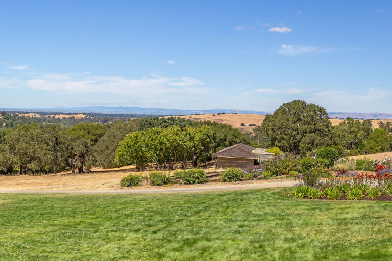 View-Panorama-(4)-Cropped